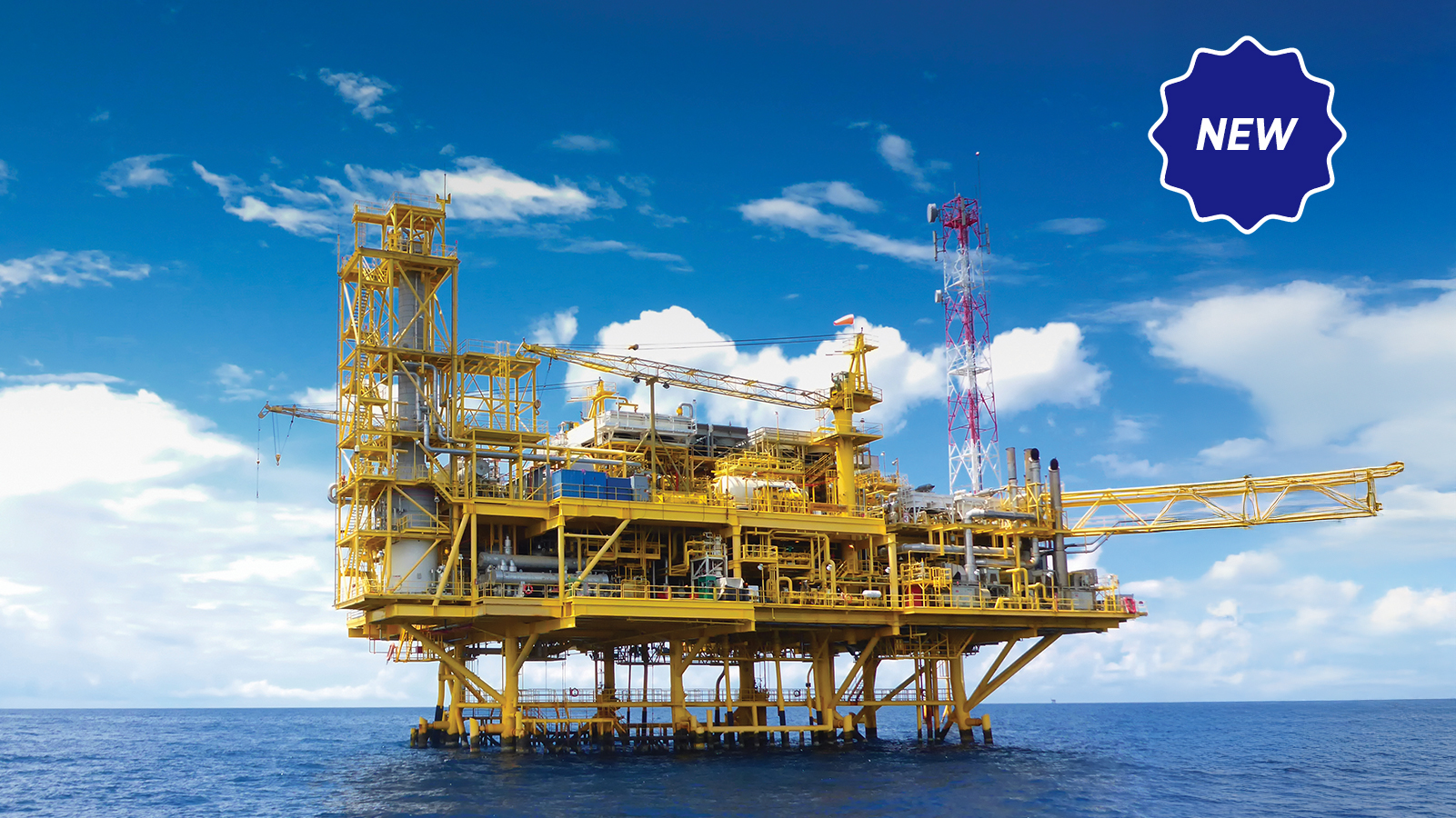 Hazardous Location Power Lead Feedthrough (HLPL) Oil Rig Wide